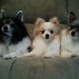 Meet your Posher, Debra